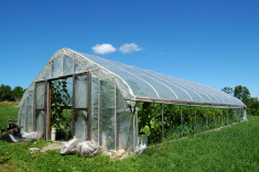 greenhouse