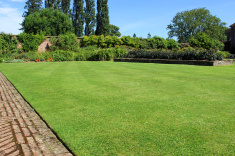 lawn